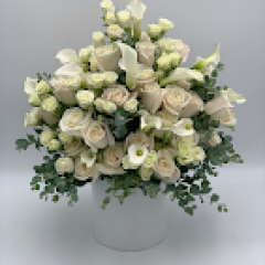 Seller Image
